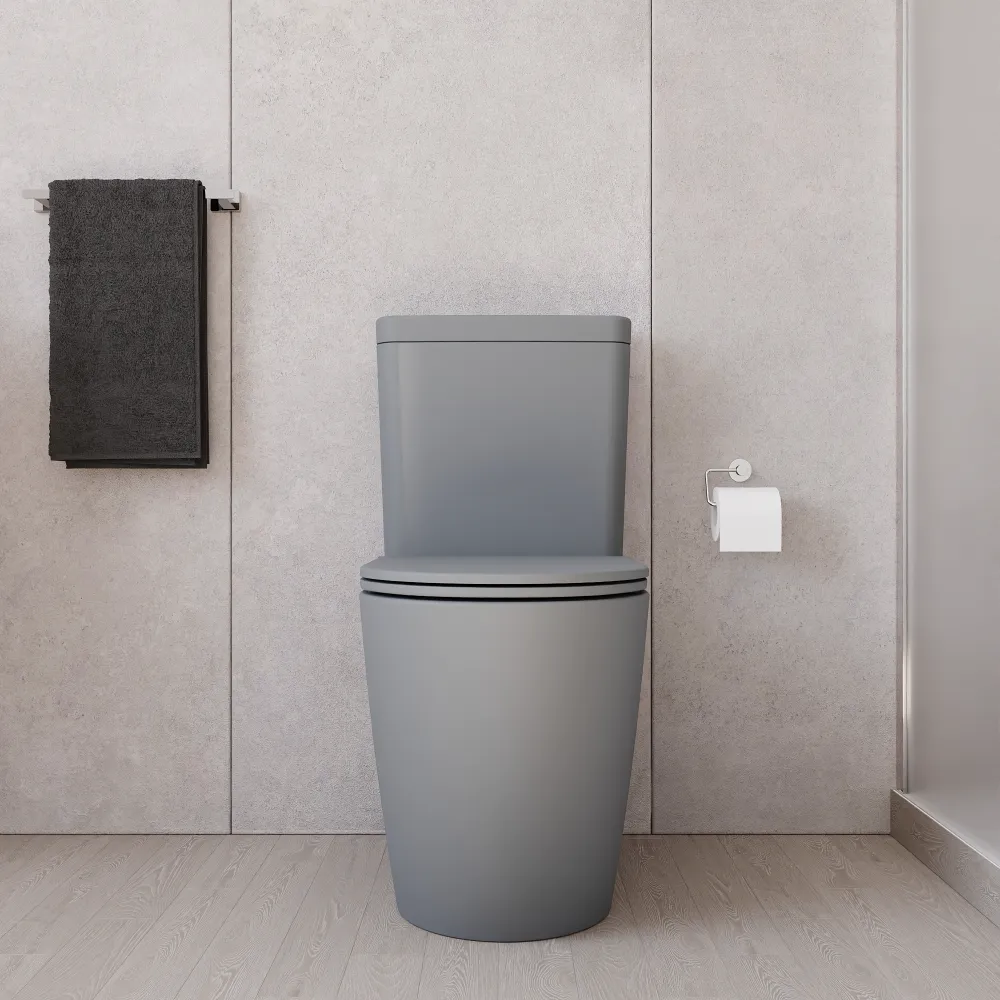 Vaso filomuro monoblocco h44,5cm tornado con cassetta e sedile copri-wc grigio opaco | Europa Comfort Vaso filomuro monoblocco h44,5cm tornado con cassetta e sedile copri-wc grigio opaco | Europa Comfort