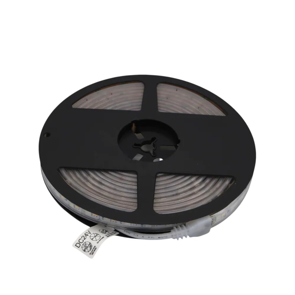 Striscia LED CCT 24V 5m tagliabile ogni 10cm 20W/m multicolore + luce 2700K-6500K