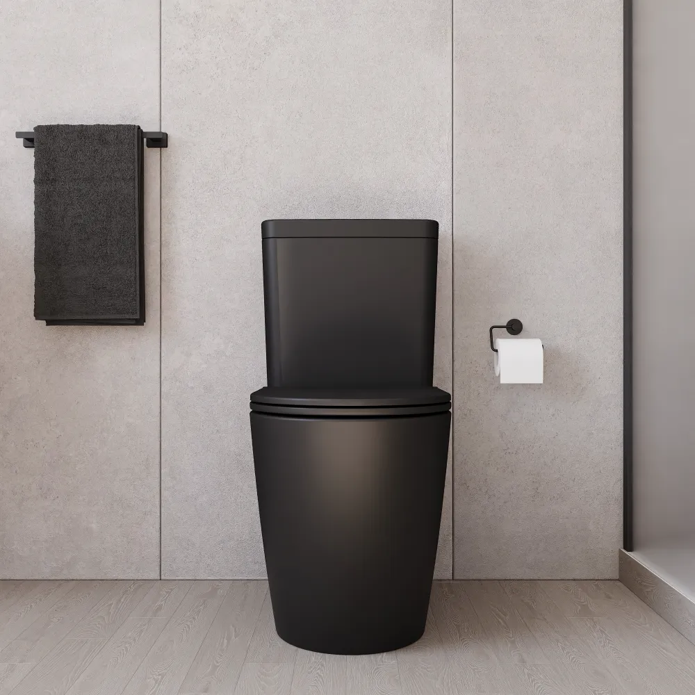 Vaso filomuro monoblocco h44,5cm tornado con cassetta e sedile copri-wc nero opaco | Europa Comfort Vaso filomuro monoblocco h44,5cm tornado con cassetta e sedile copri-wc nero opaco | Europa Comfort